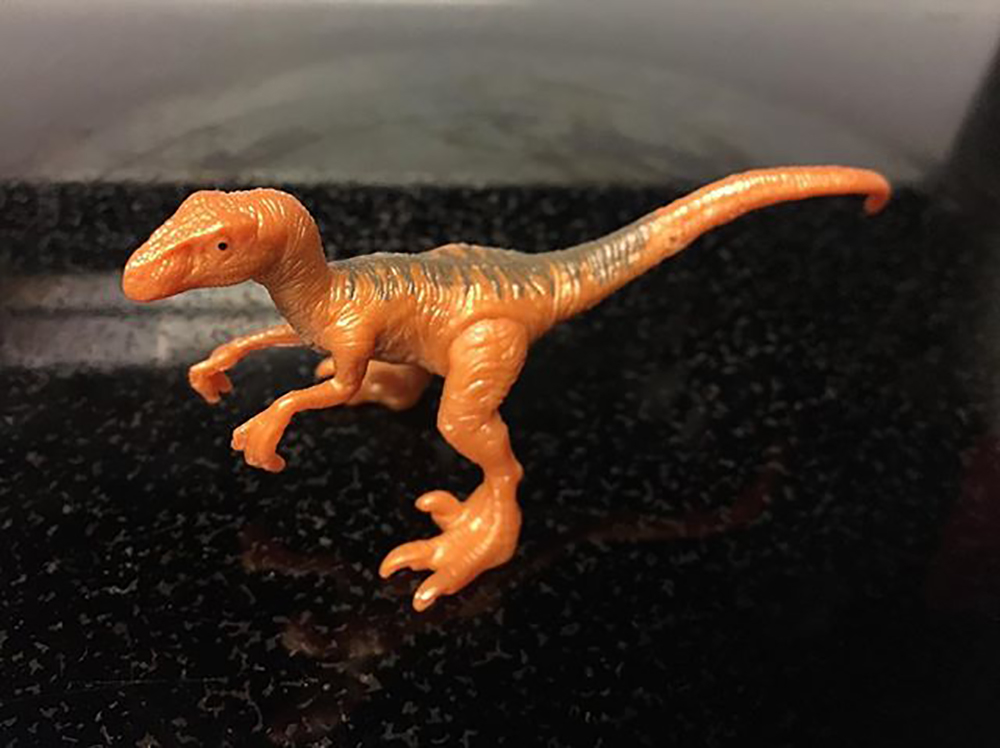 dino rivals velociraptor