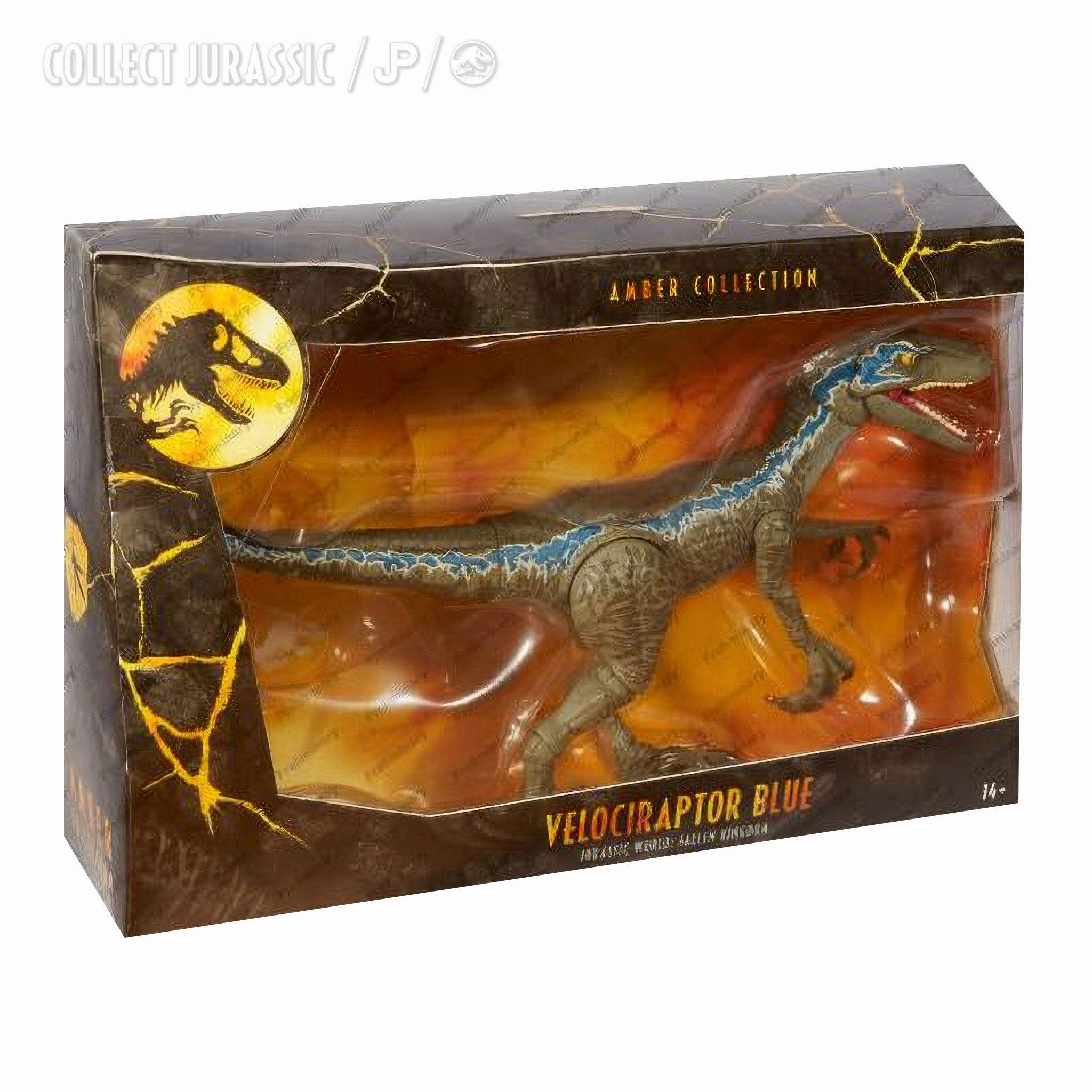 Amber collection. Amber collection Велоцираптор. Amber collection Jurassic Park Velociraptor. Velociraptor Amber collection Блю. Jurassic World Amber collection Velociraptor Blue.
