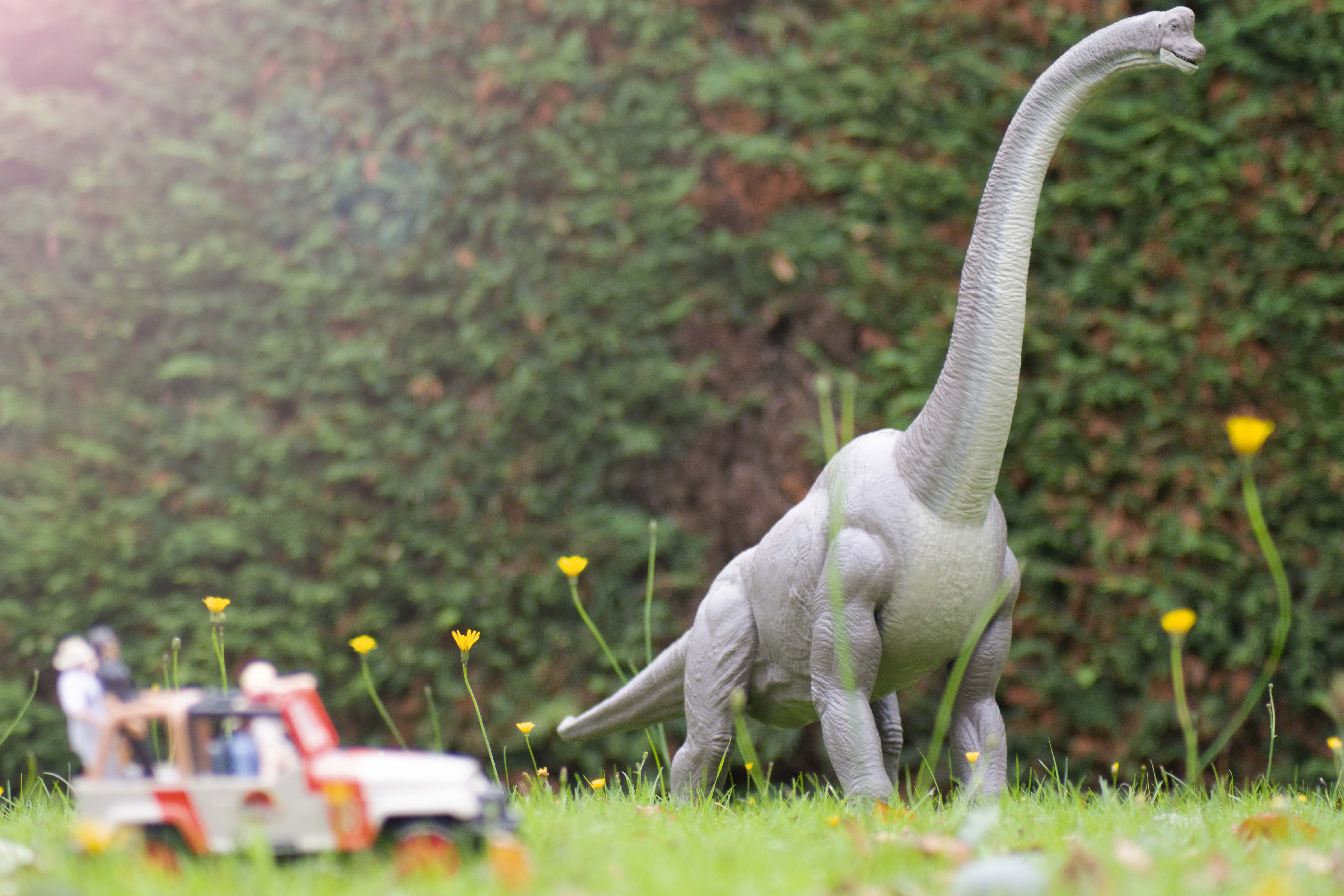 jurassic brachiosaurus toy